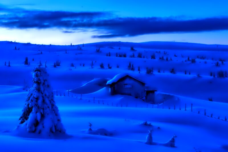Snow-covered Cabin — Blue, Serene, Night, Photograph, Tree