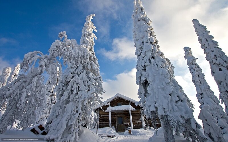Snow-covered Cabin — Blue, Serene, Winter, Photograph, Trees, Sky