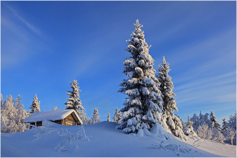 Snow-covered Cabin — Blue, Serene, Winter, Photograph, Trees