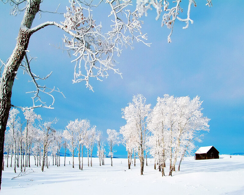 Snow-covered Cabin in Field