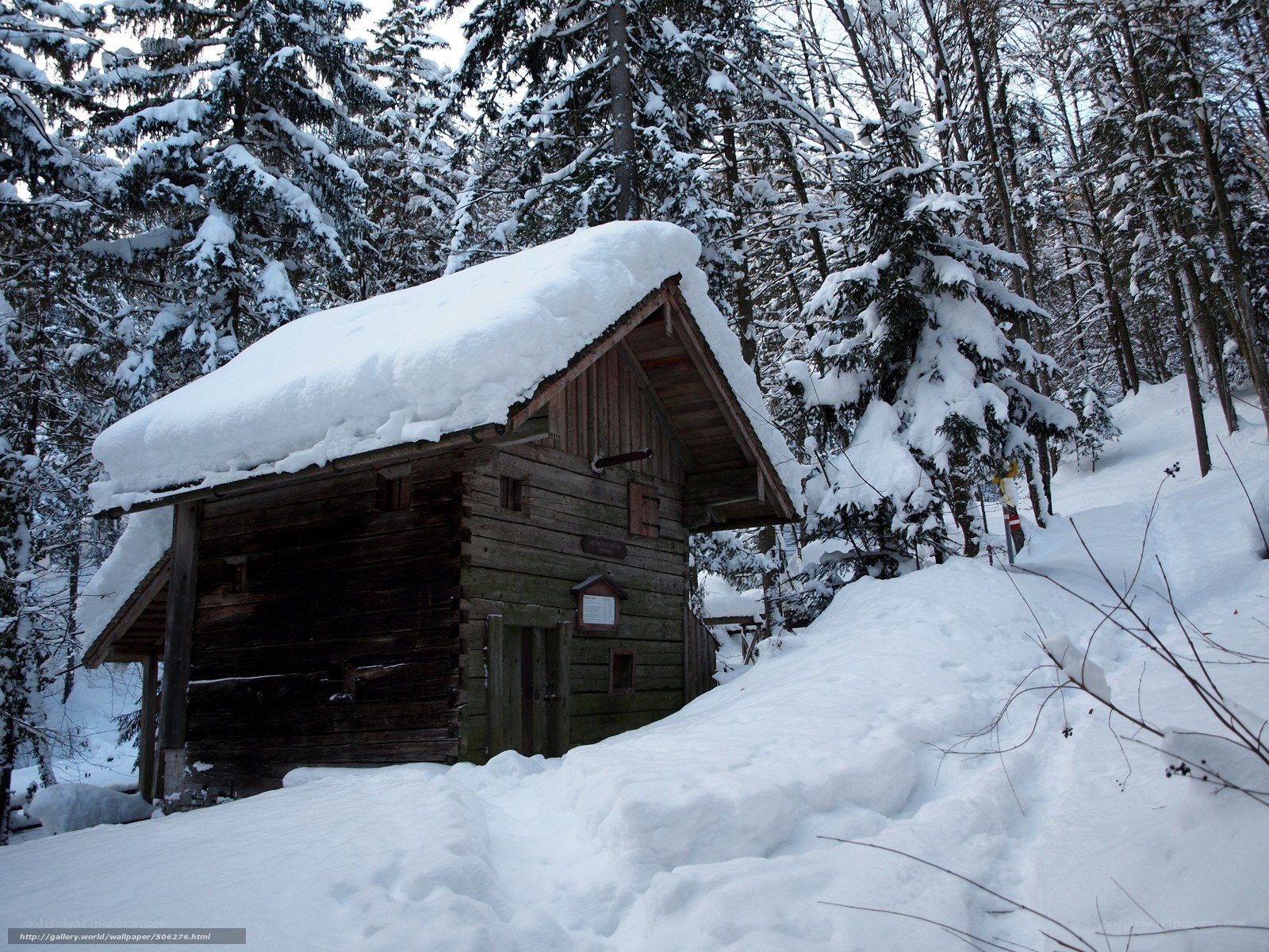 Snow-covered cabin in forest