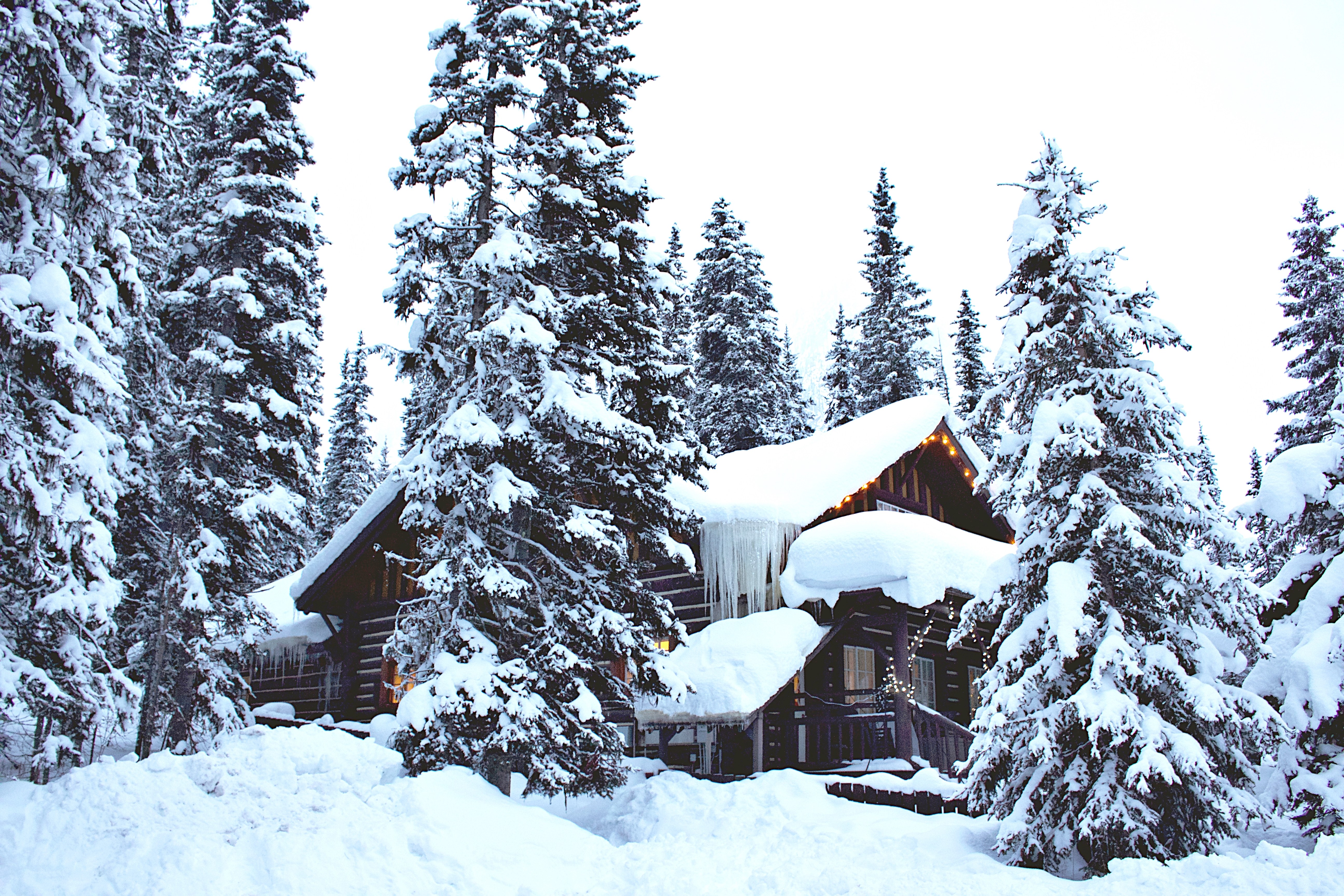 Snow-covered cabin in forest