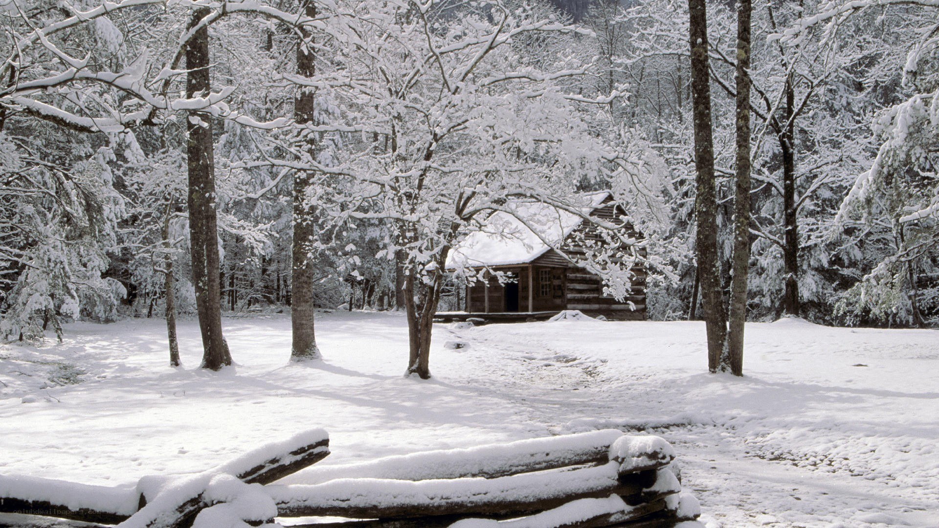 Snow-covered cabin in forest