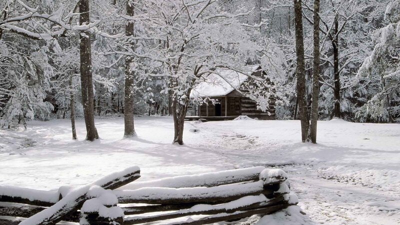 Snow-covered cabin in forest