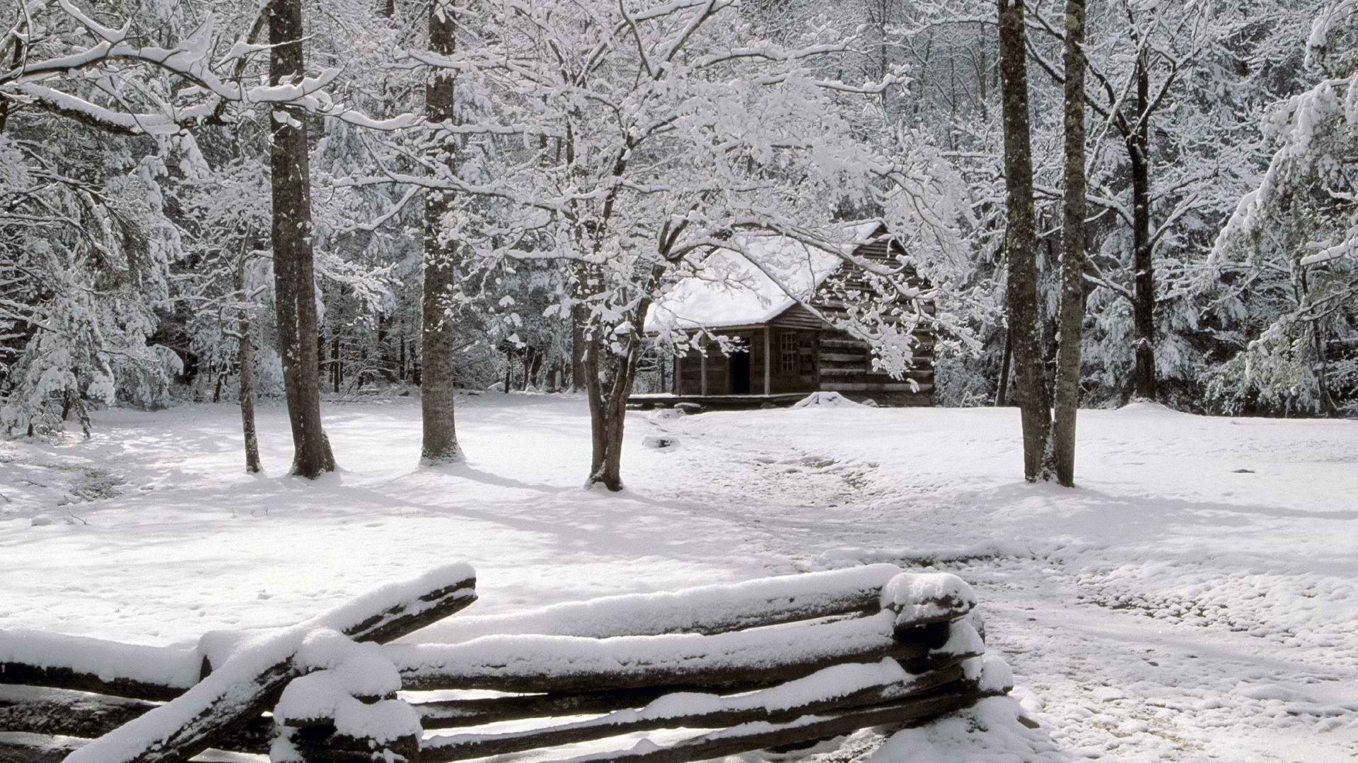 Snow-covered cabin in forest