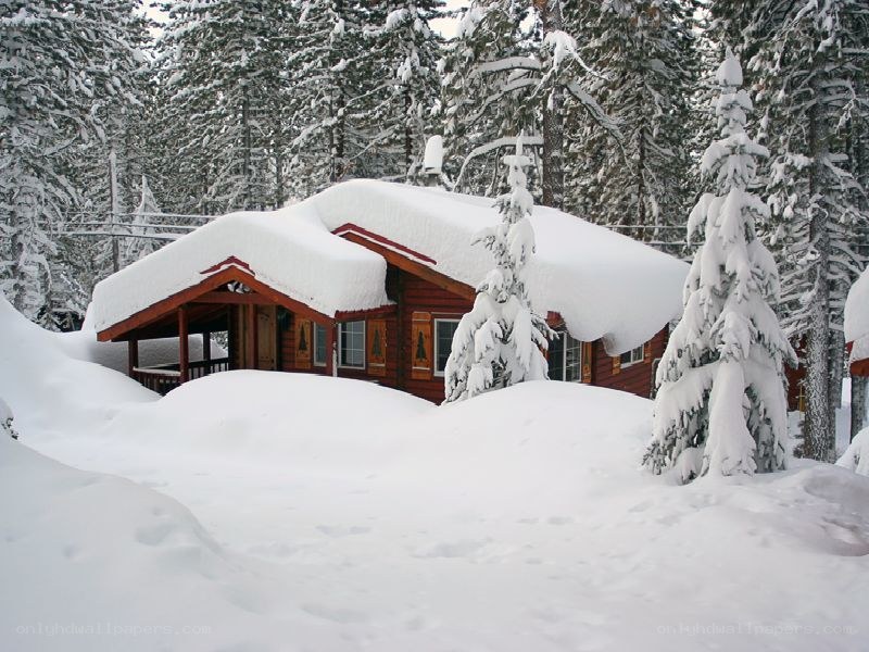 Snow-covered cabin in forest