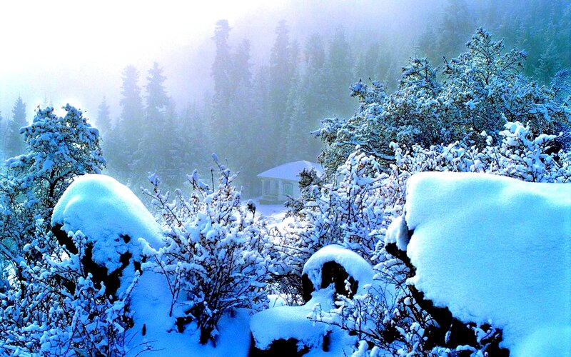 Snow-covered Cabin in Forest — Blue, Serene