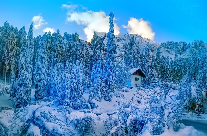 Snow-covered Cabin in Forest — Blue, Serene, Winter