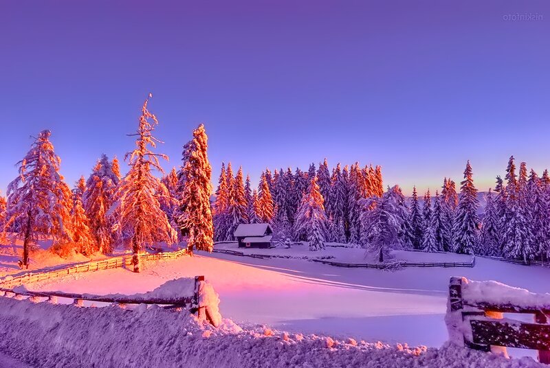 Snow-covered Cabin in Forest — Purple, Serene