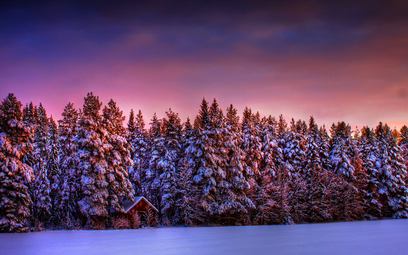 Snow-covered Cabin in Forest — Purple