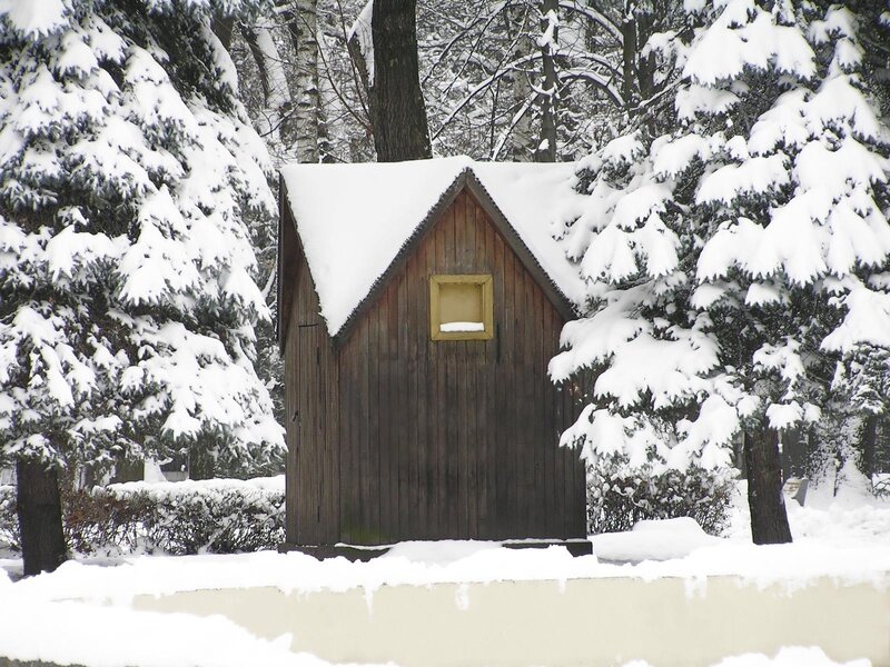Snow-covered cabin in forest