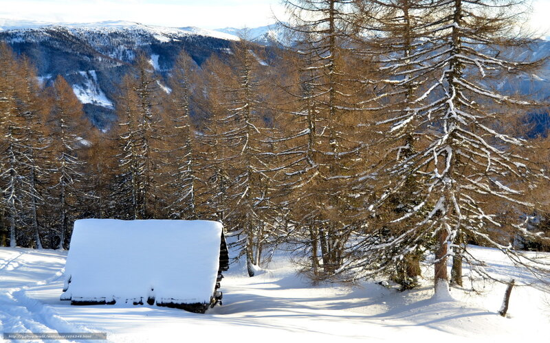 Snow-covered Cabin in Forest — White, Serene, Winter, Photograph, Trees, Mountains, Snow
