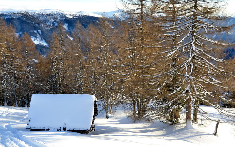 Snow-covered Cabin in Forest — White, Serene, Winter, Photograph, Trees, Mountains