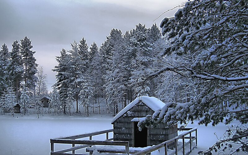 Snow-covered Cabin in Forest — White, Serene, Winter, Photograph, Trees, Snow, Fence