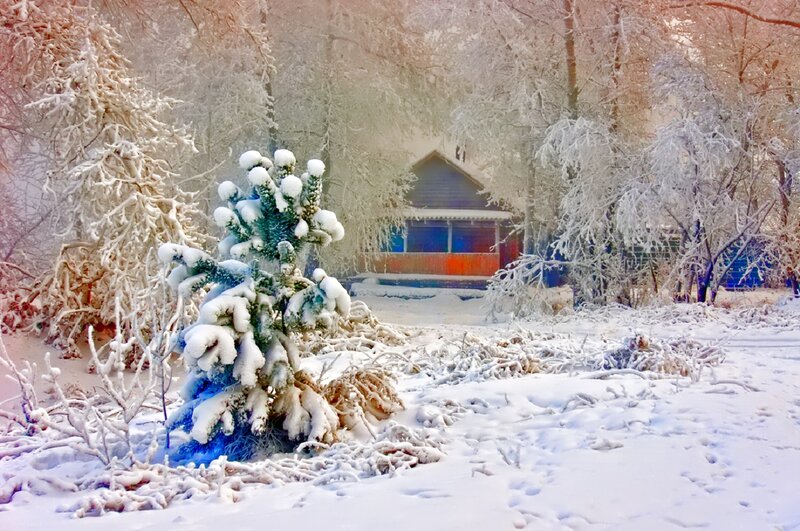 Snow-covered Cabin in Forest — White, Serene, Winter, Photograph, Trees, Snow