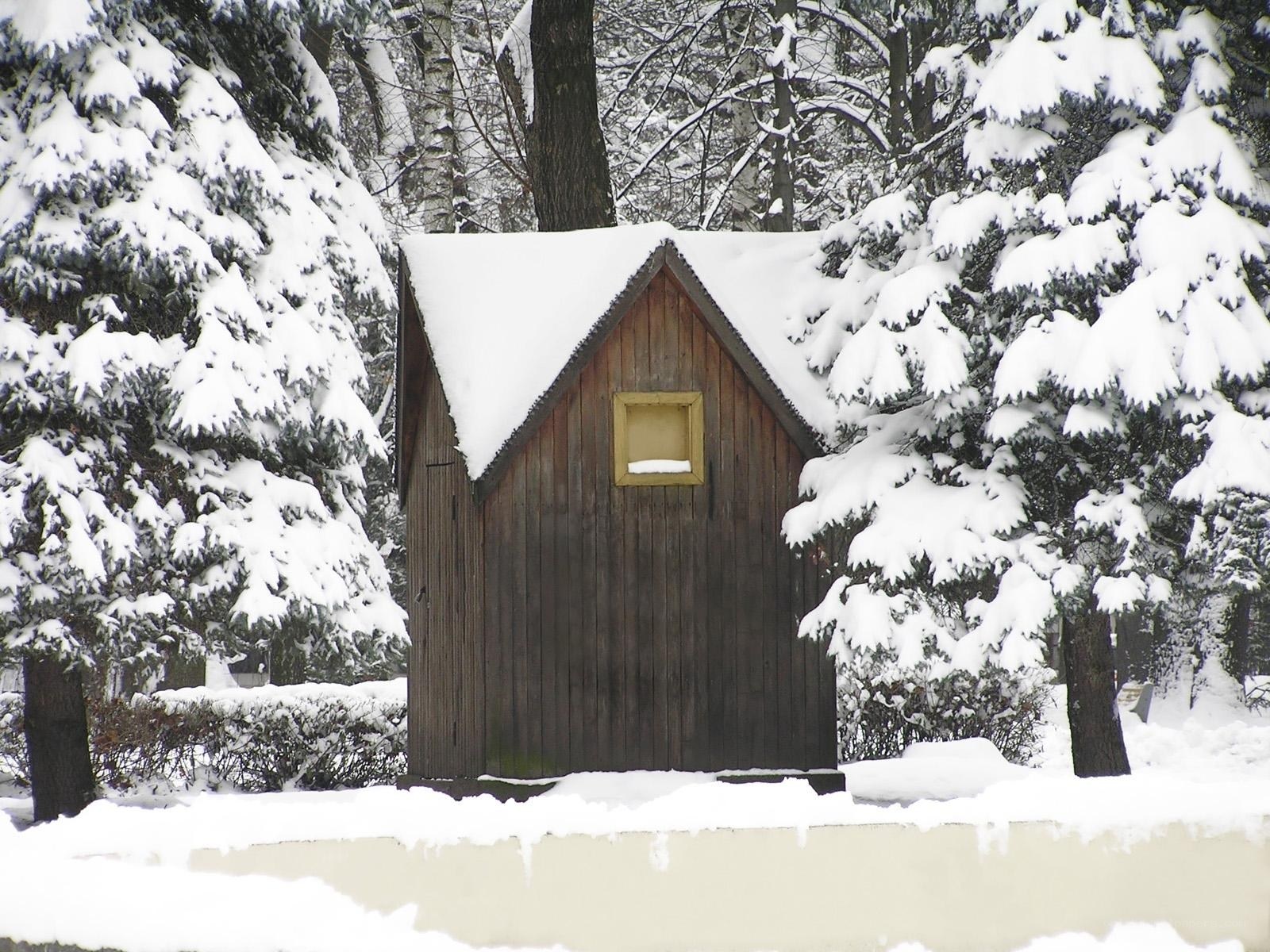 Snow-covered cabin in forest