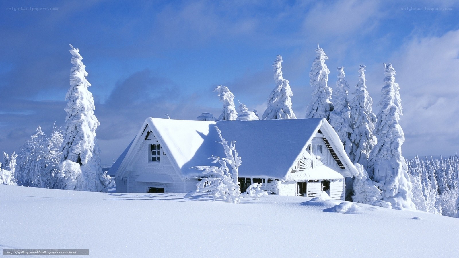 Snow-covered cabin in winter