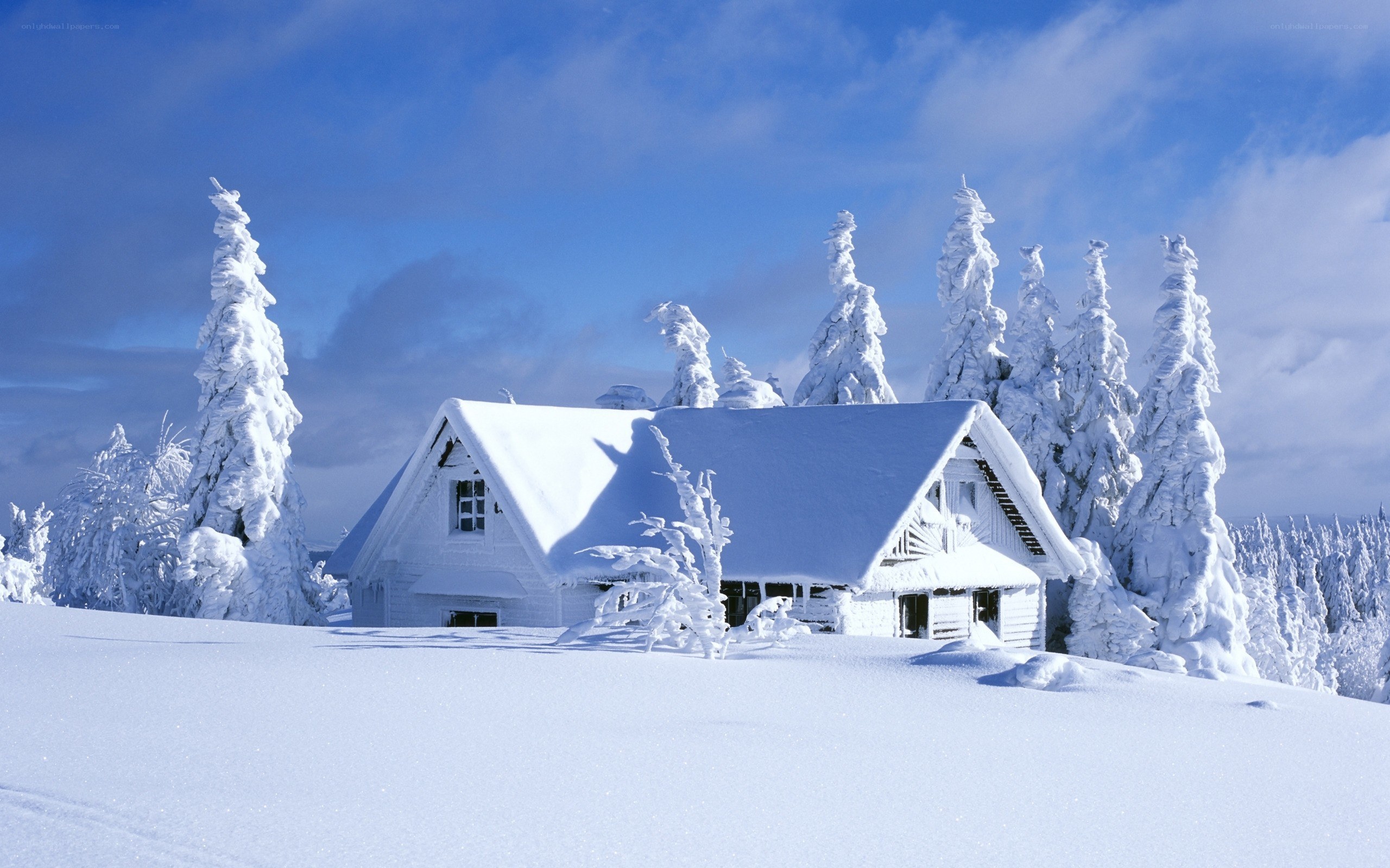 Snow-covered cabin in winter
