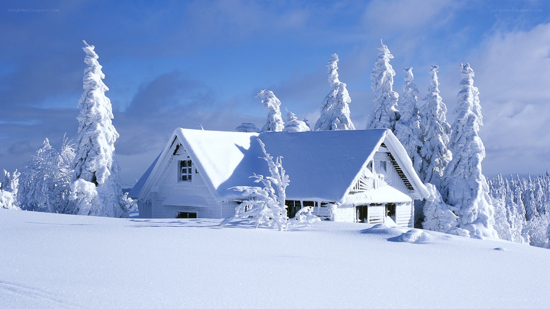 Snow-covered cabin in winter
