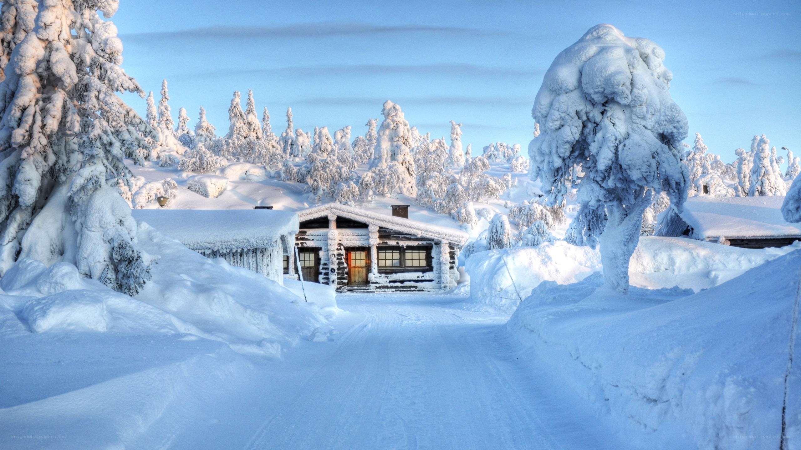 Snow-covered cabin in winter
