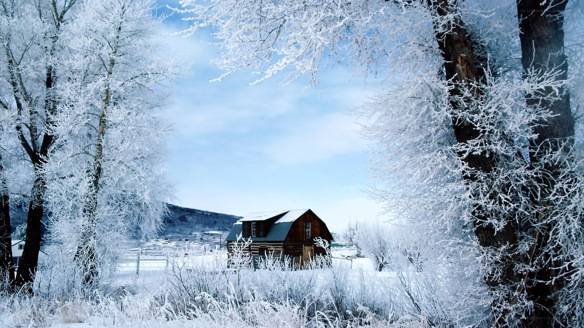 Snow-covered cabin in winter