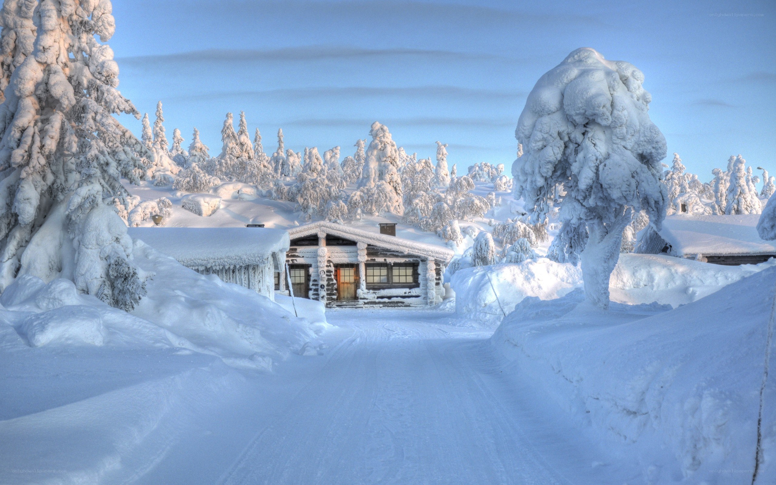 Snow-covered cabin in winter