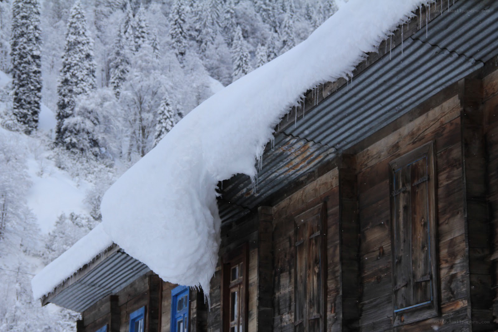 Snow-covered cabin in winter