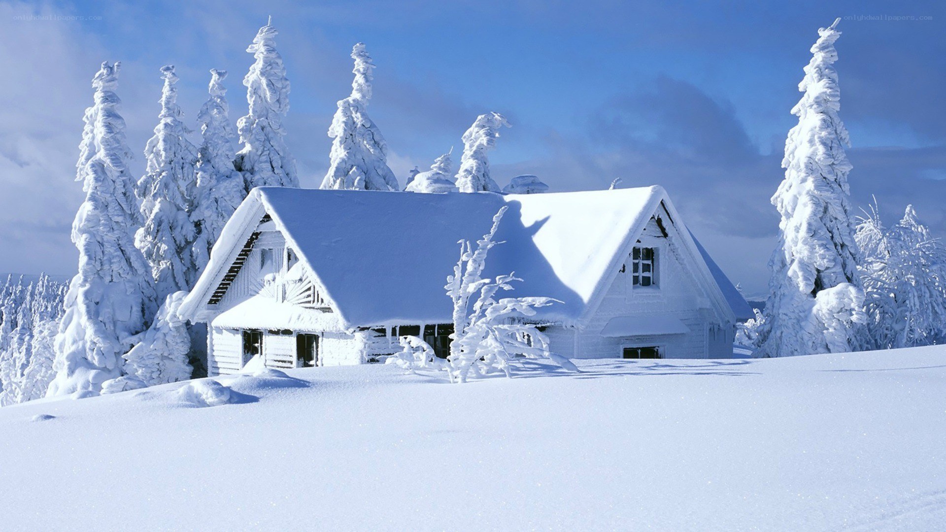 Snow-covered cabin in winter