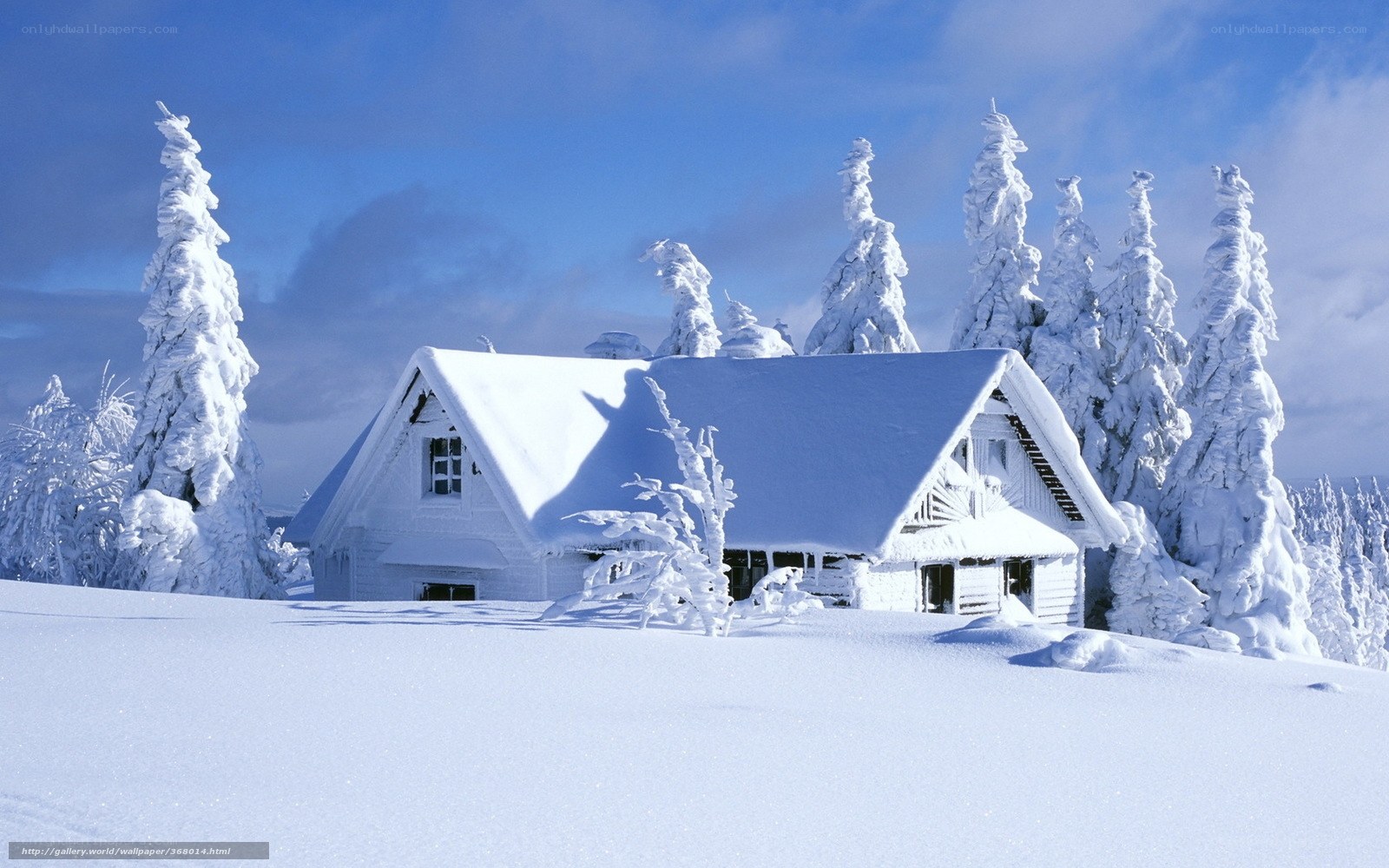 Snow-covered cabin in winter