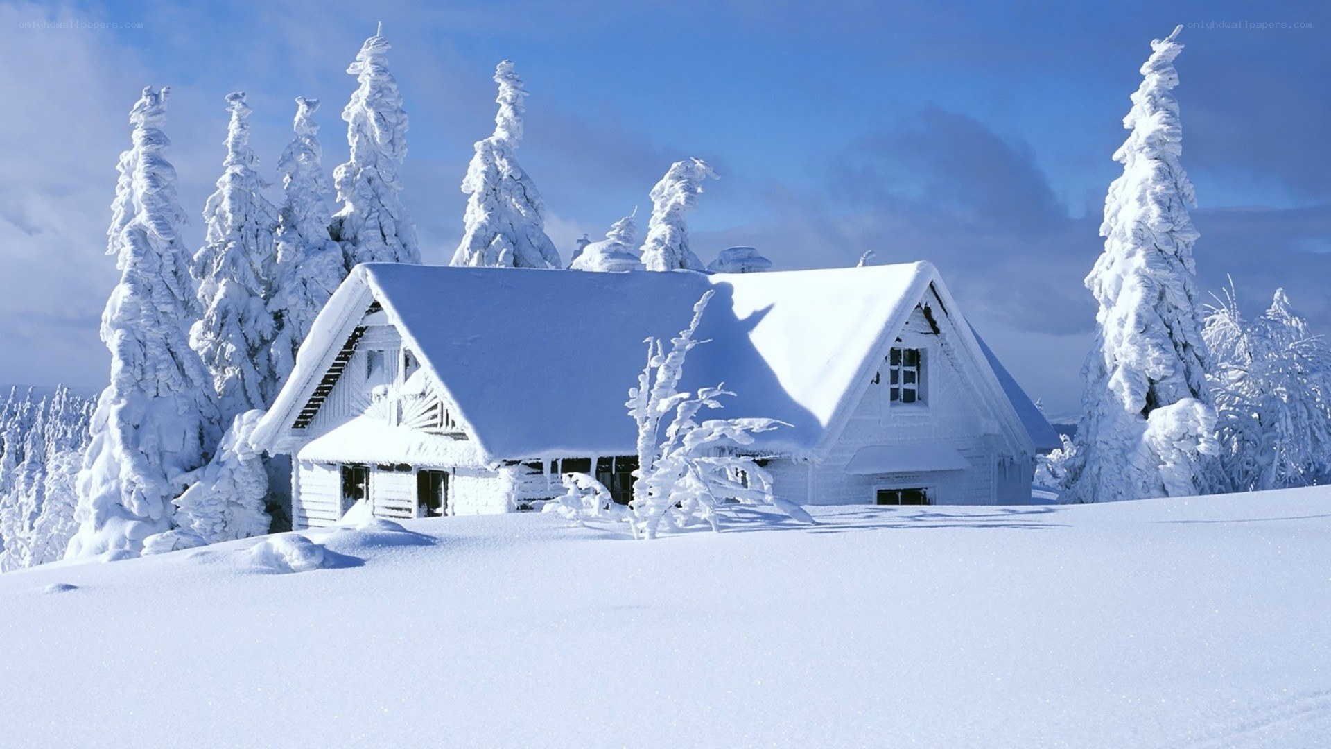 Snow-covered cabin in winter