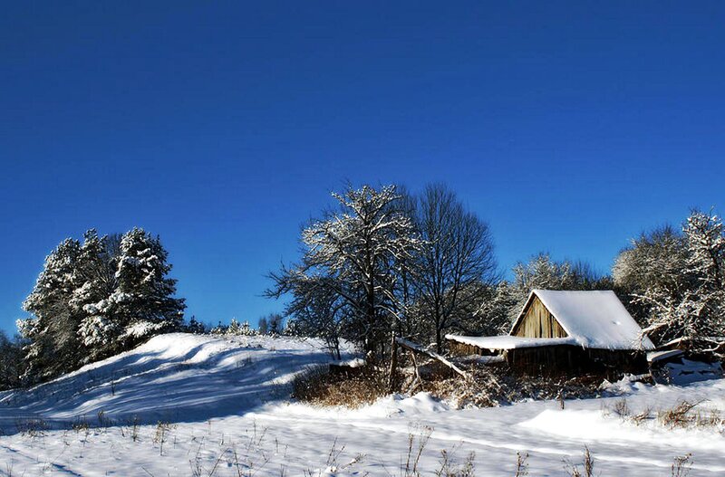 Snow-covered Cabin in Winter — Blue