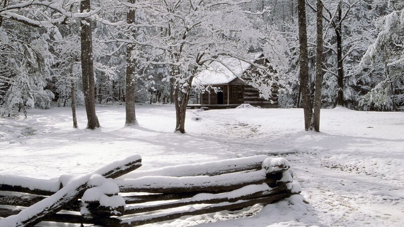 Snow-covered cabin in winter forest