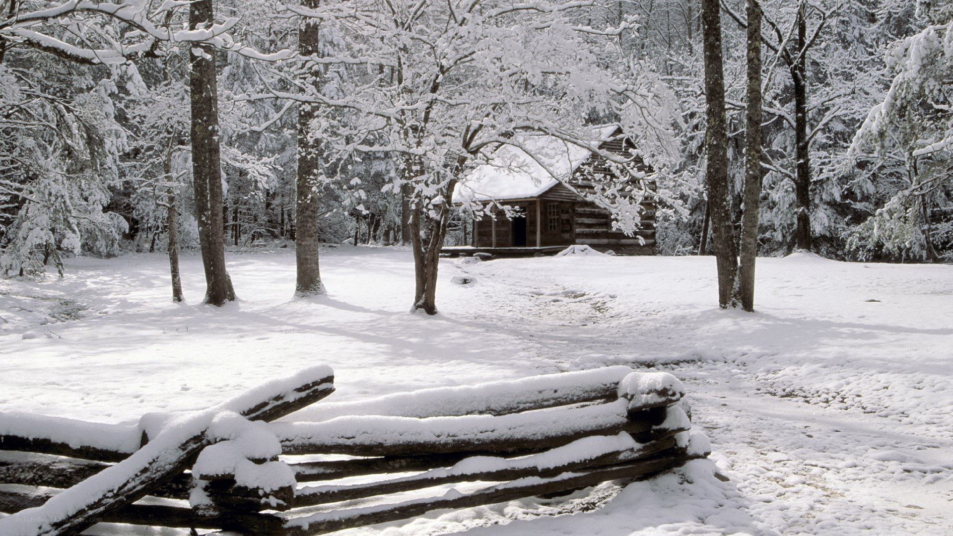 Snow-covered cabin in winter forest