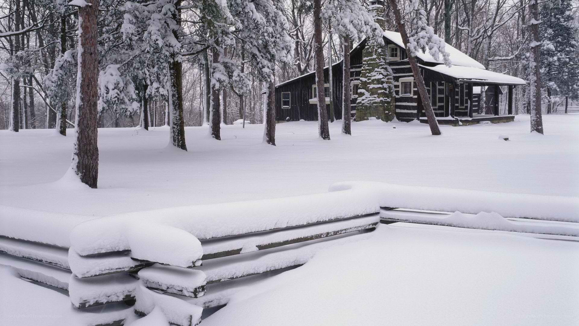 Snow-covered cabin in winter forest