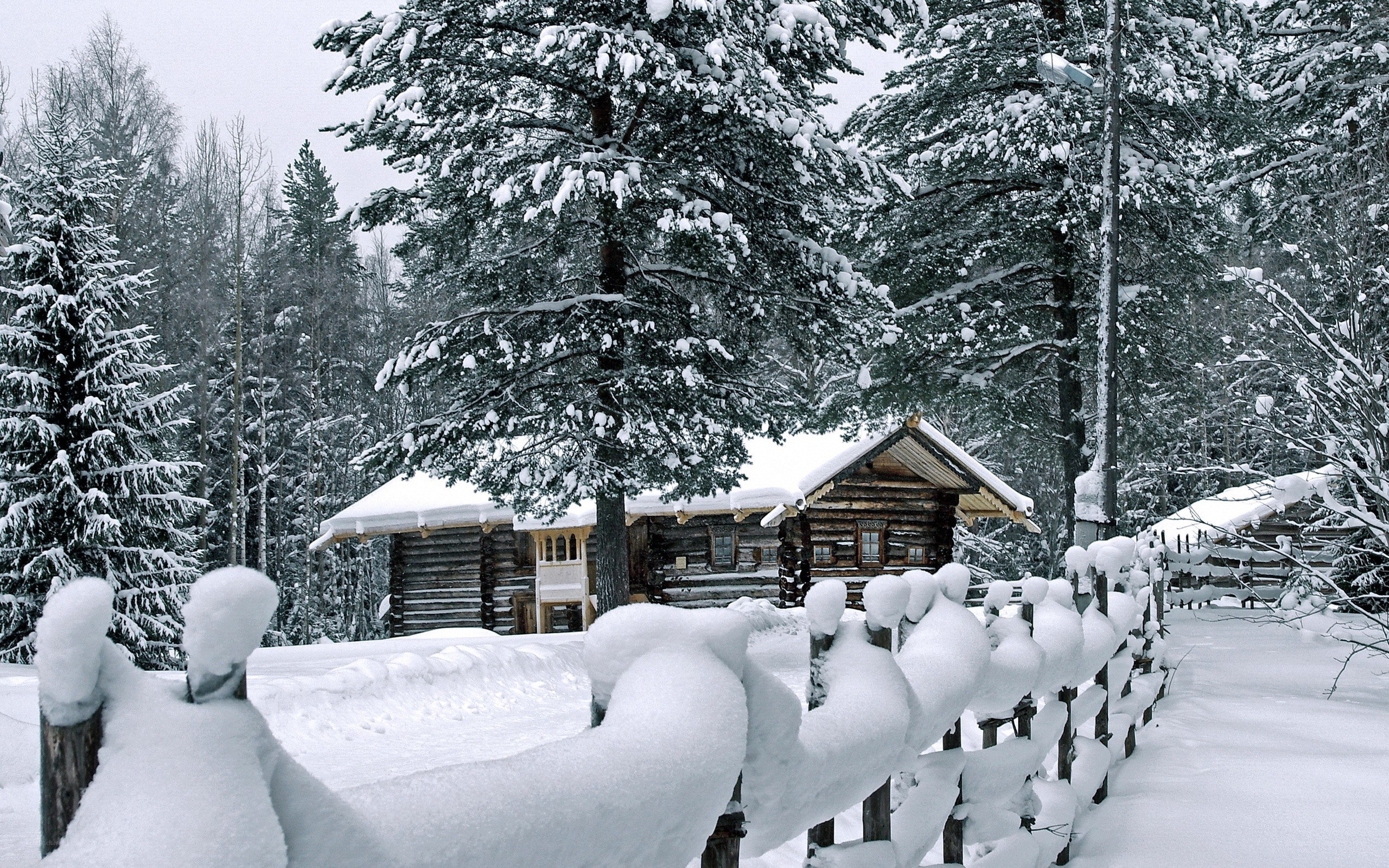 Snow-covered cabin in winter forest