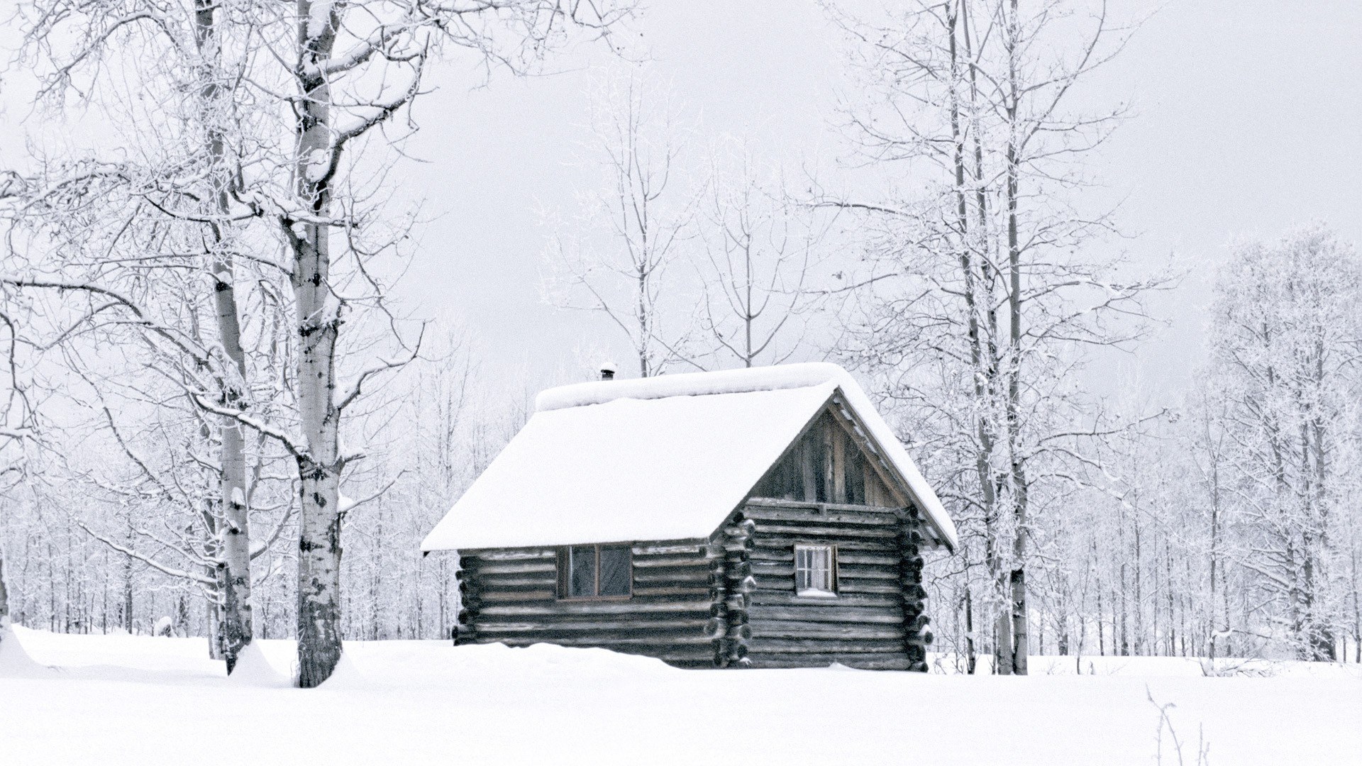Snow-covered cabin in winter forest
