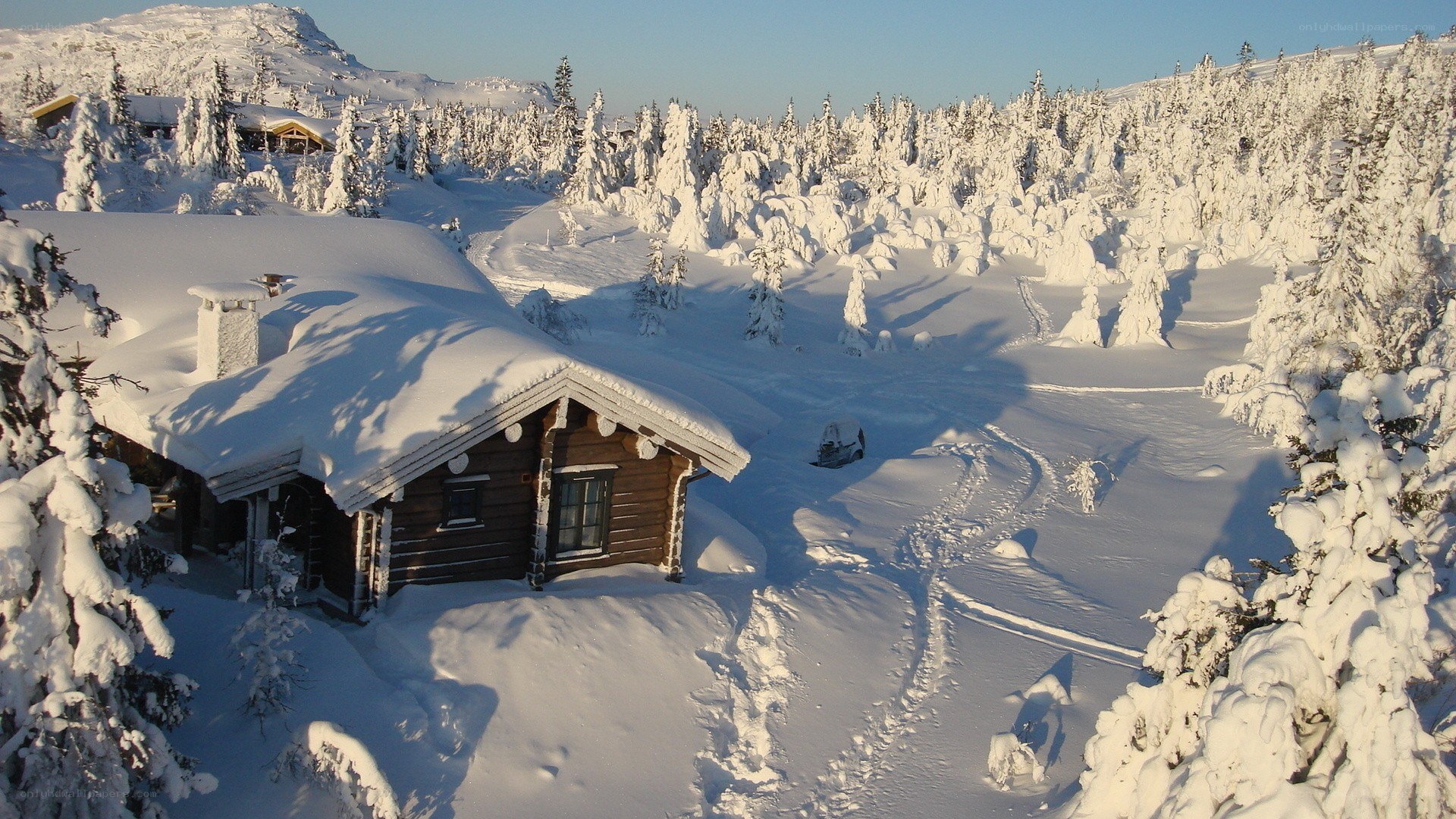 Snow-covered cabin in winter forest