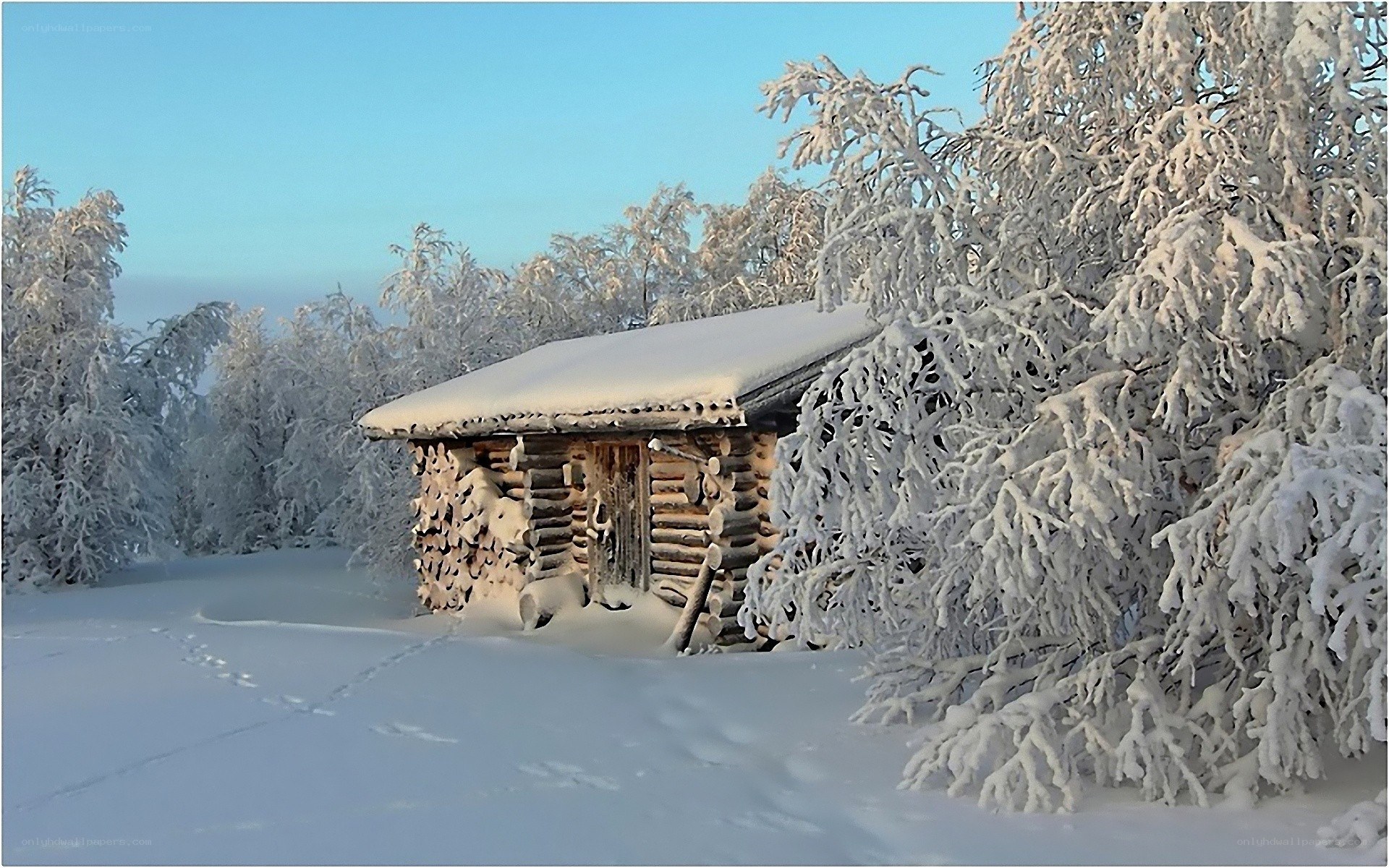Snow-covered cabin in winter forest