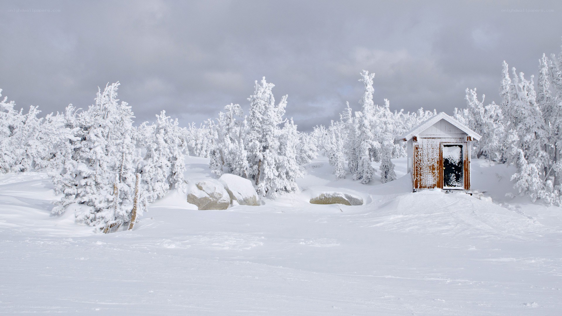 Snow-covered cabin in winter forest
