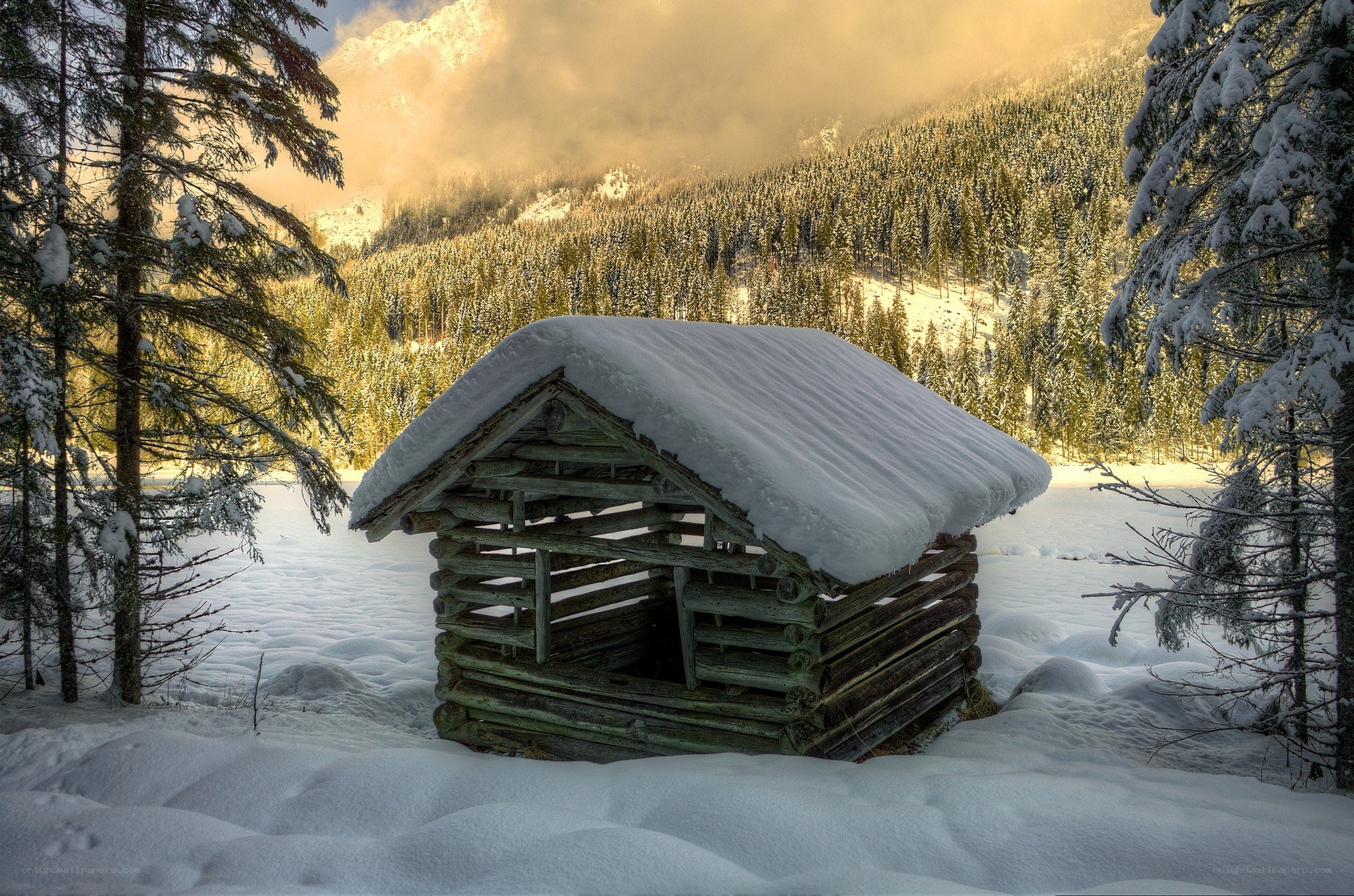 Snow-covered cabin in winter forest