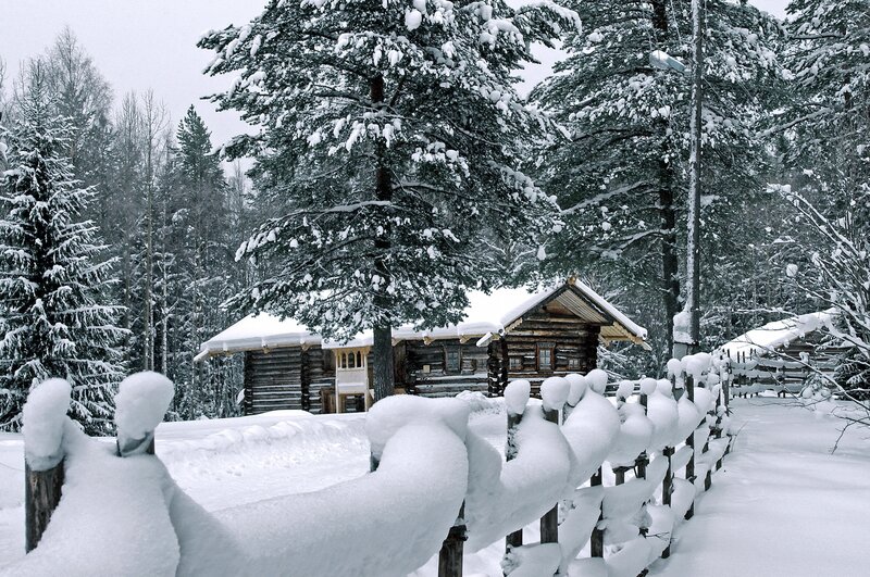 Snow-covered cabin in winter forest