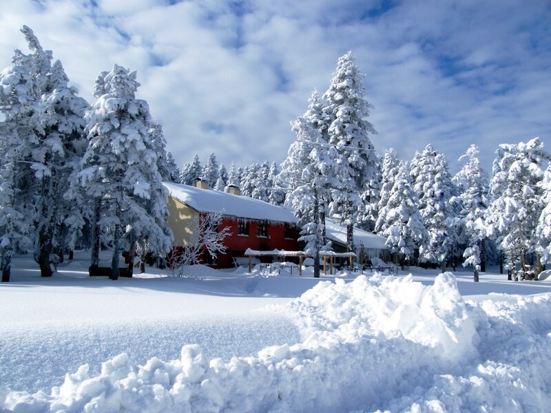 Snow-covered cabin in winter forest