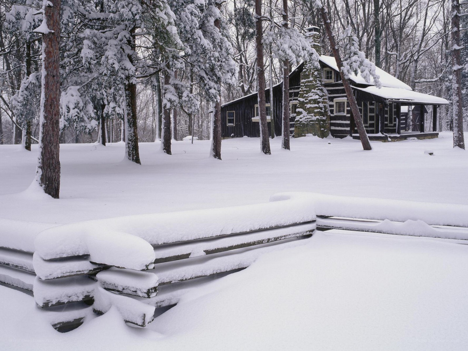 Snow-covered cabin in winter forest