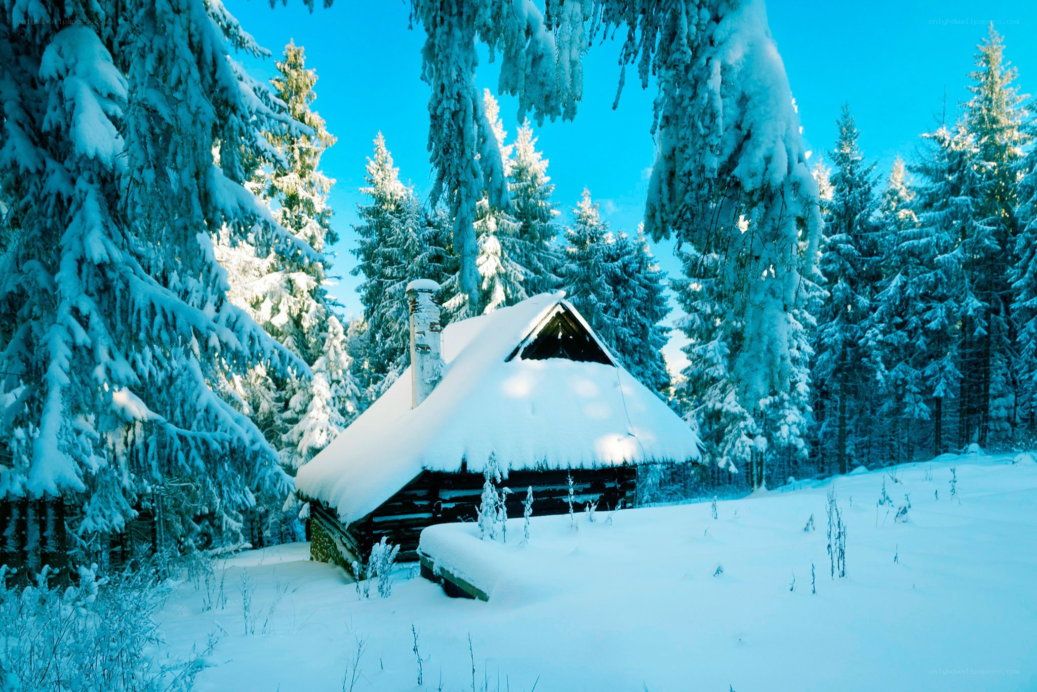 Snow-covered cabin in winter forest