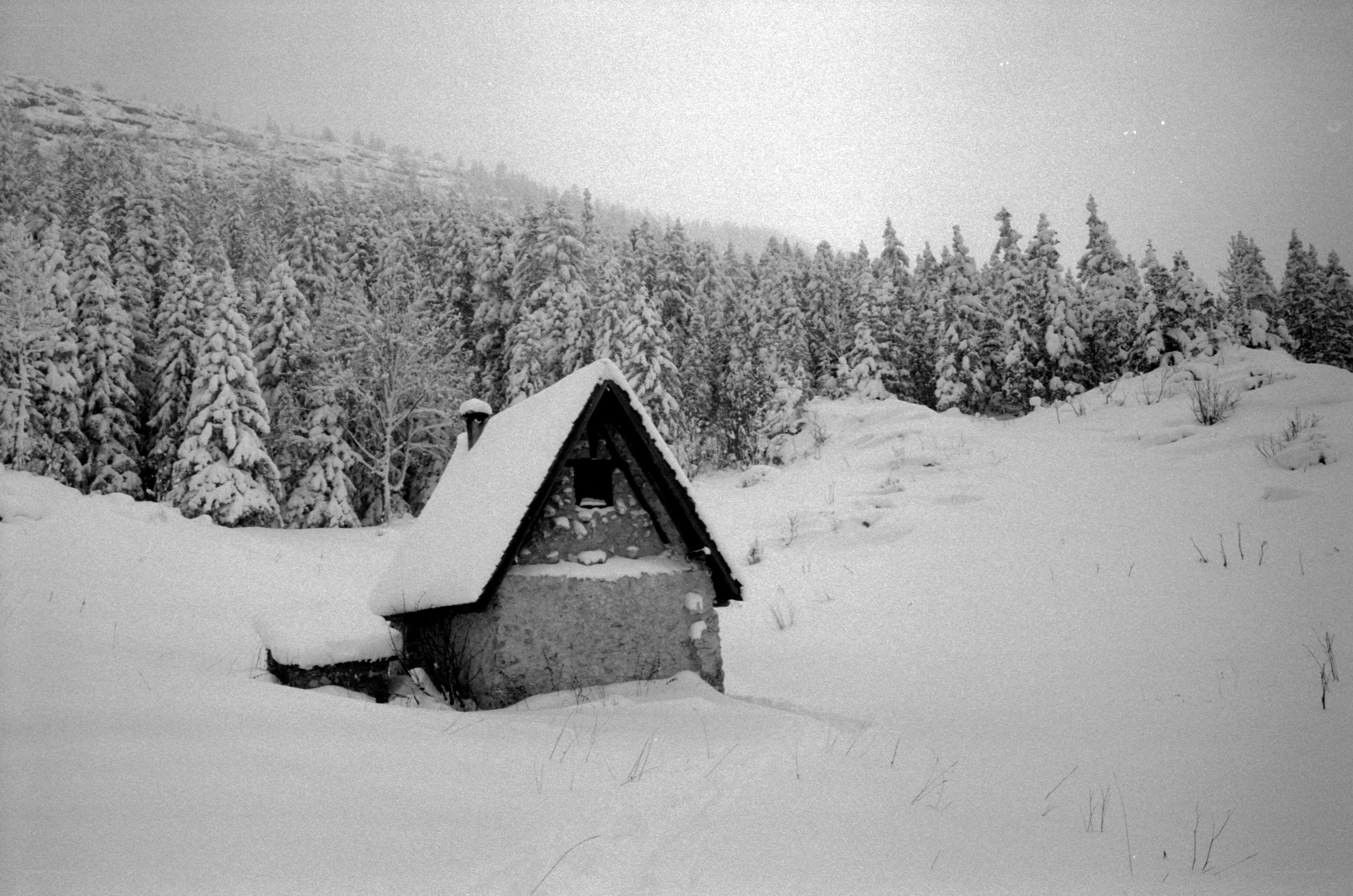 Snow-covered cabin in winter forest