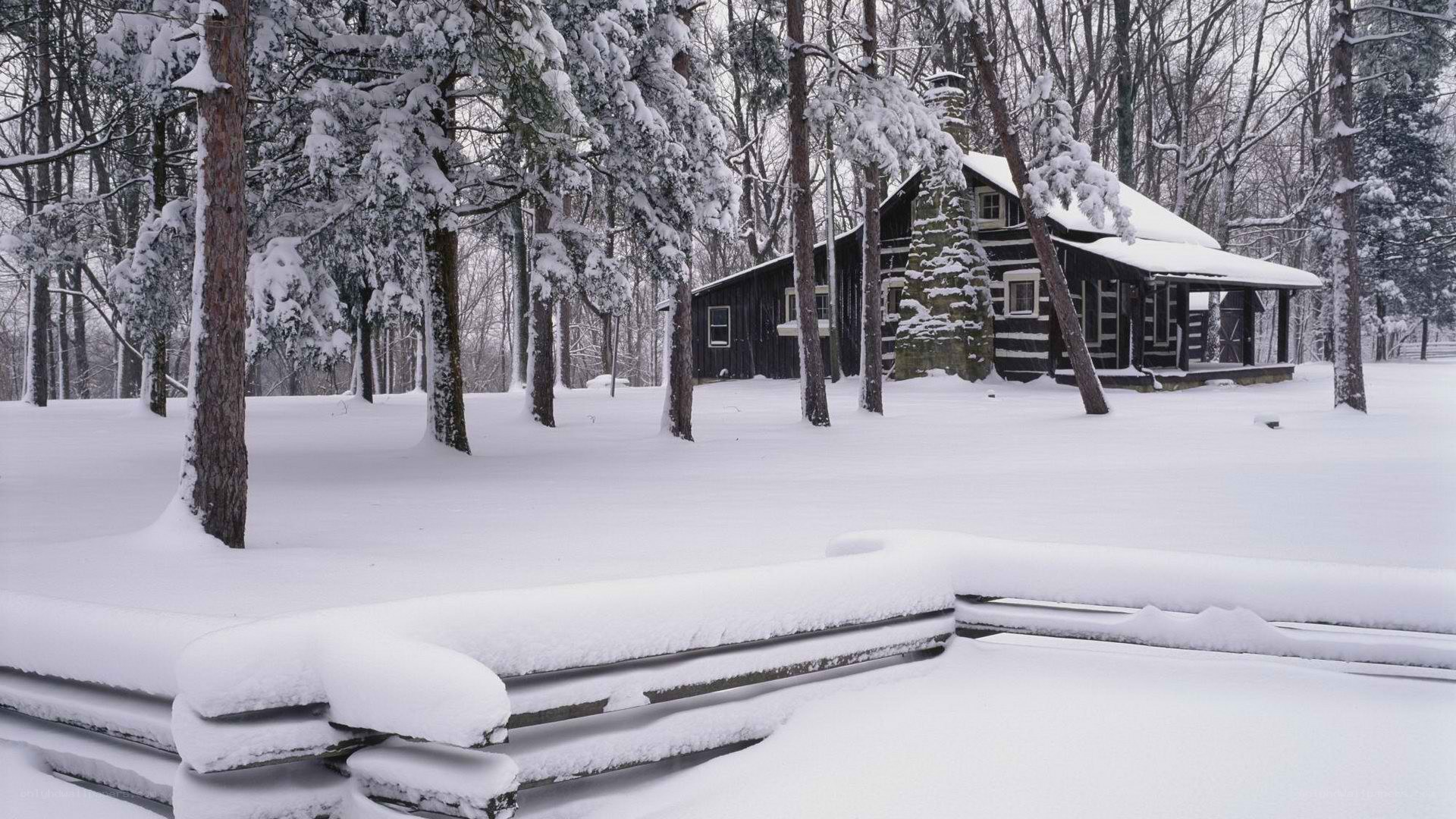 Snow-covered cabin in winter forest
