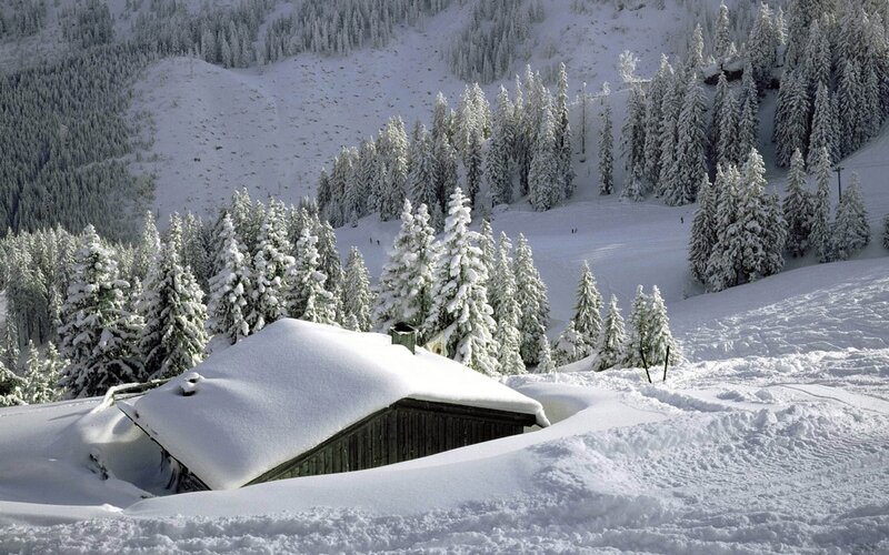 Snow-covered cabin in winter forest