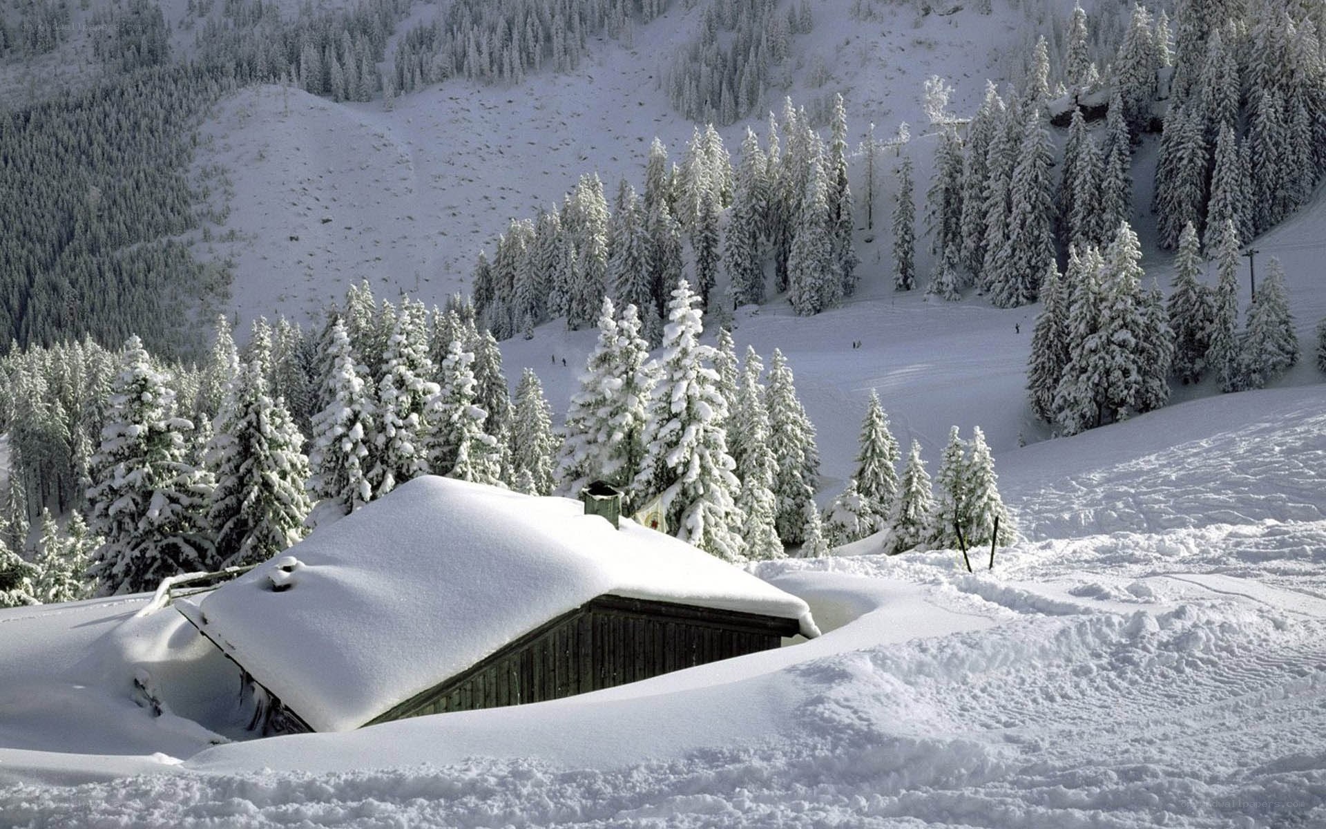 Snow-covered cabin in winter forest
