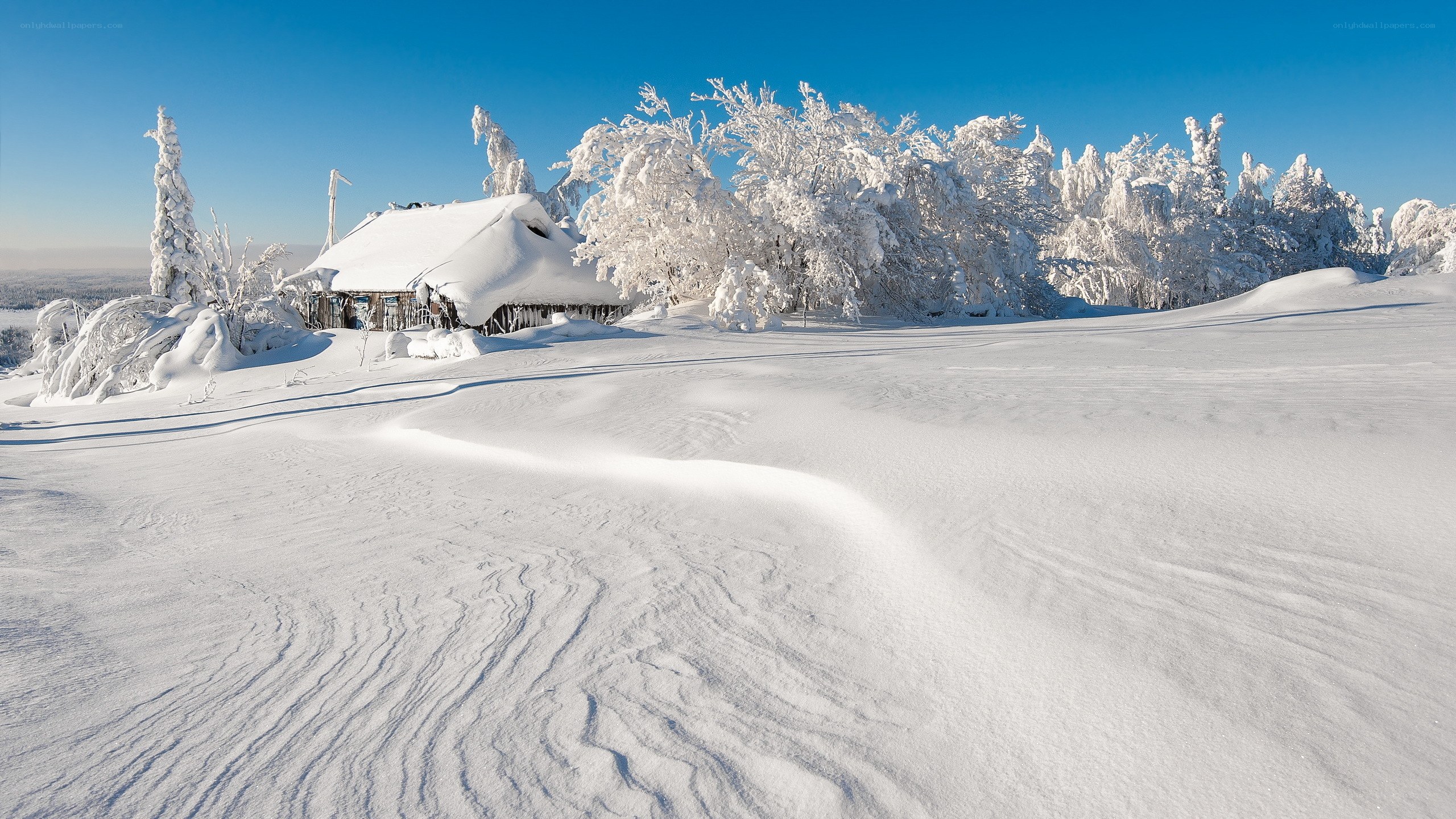 Snow-covered cabin in winter landscape