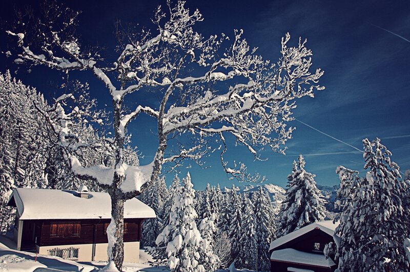 Snow-covered cabin in winter landscape